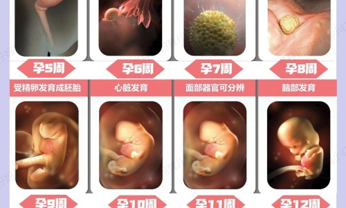 怀孕如何吃药打掉-用药怎么打孩子的影响胎儿网-分享怀孕后药物打胎后需要注意什么，药物打胎的流程知识库